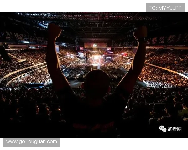 十二月UFC赛事密集，UFC323与UFC324引关注